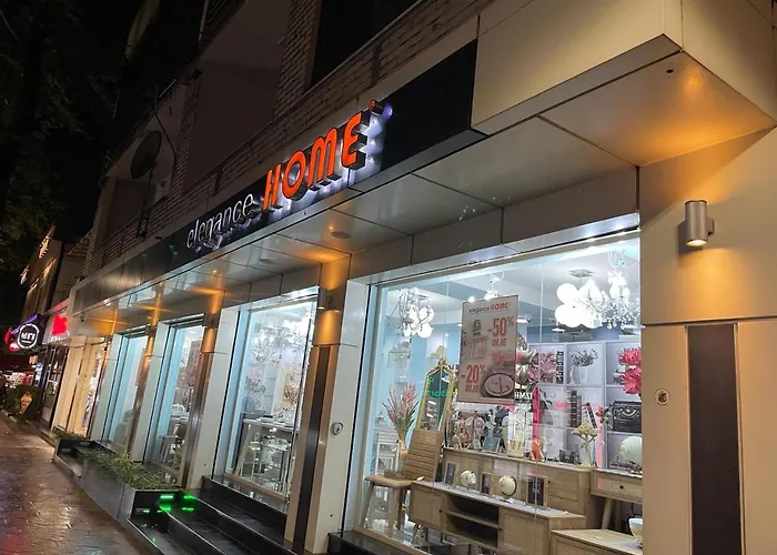 R&b Center 公寓 地拉那